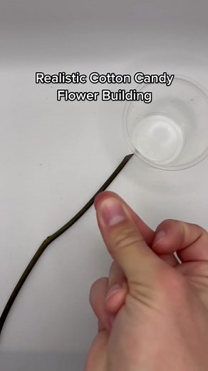 How I make my cotton candy roses! Let me know if you’d like to see a different color or flower next! #KAYKissCountdown #cottoncandy #flowers #pink