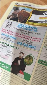 A real Yellow Pages book