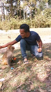 2.3K views · 16 reactions | The monkey was fighting for food.. . . . . . . . . . . . . . . . . . . . . . . . . . . #LaughWithAnimals #monkeys #monkeysreels #monkeyfight #feedinganimal #poormonkey | Laugh with Animals | Facebook