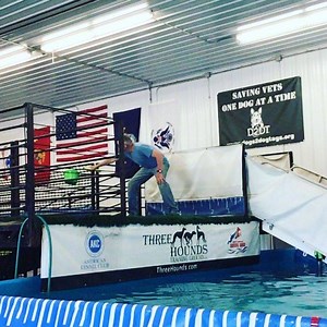 Love how Ava is tracking that toy! #threehoundstrainingground , #germanshepherd , #naddicts | Three Hounds Training Ground | Facebook