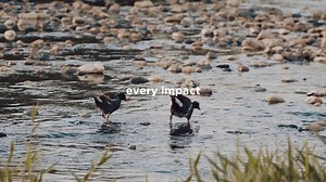 168 reactions | The apparel industry can have resounding impacts, and we’re making ours a force for good. Learn more: https://bit.ly/2TVCYg0 | Gildan, Making Apparel Better | Facebook