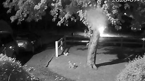Hendersonville Police search for those responsible for exploding mailboxes