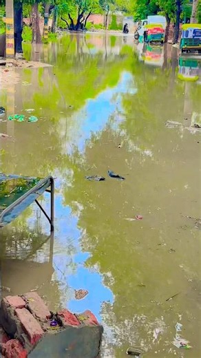 Rain Vibes 🌧️ | rain status | 4K Nature #rain #vibes #shorts