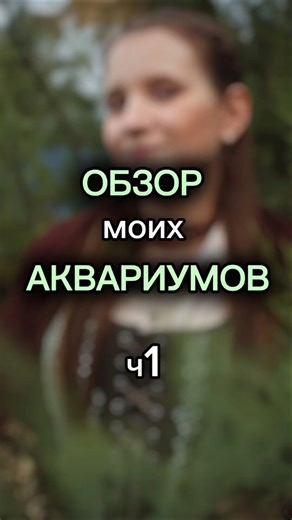 обзор аквариума ч1 #аквариум #рыбки #аквариумистика #аквариумныерыбки #aquarium #аквариумдома