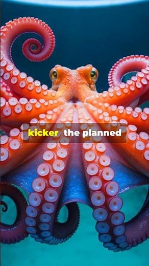 Farming Octopuses Like Salmon Scientists Call It Cruel