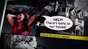 House of Bats - Bat Removal