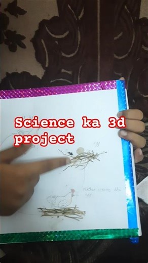 3d science ko project made by aahil