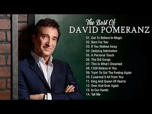 David Pomeranz - Greatest Hits Collections All Time - David Pomeranz Best Songs 🎼