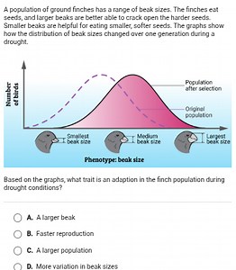A population of ground finches has a range of beak sizes. The f... | Filo