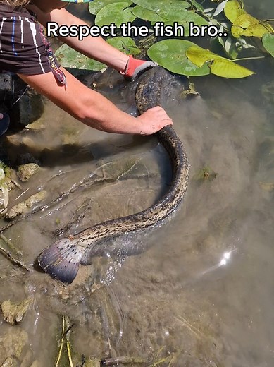 Respect the Fish: Ethical Fishing Practices Explained