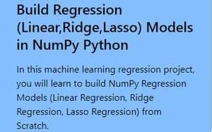 Projectpro - Build Regression (Linear,Ridge,Lasso) Models in NumPy Python