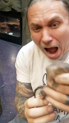 Tokay Gecko Bite Experience: Painful Encounters Revealed!