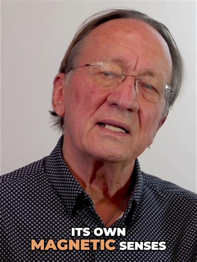 Heart vs. Mind_ The True Experience of Reality Heart Rhythm Meditation 🫀✨ a practice for regulation, resilience, and renewal #meditate #hearthealth #heartrhythmmeditation