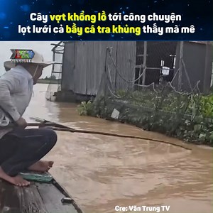 1.1M views · 4.7K reactions | Quá đã Nguồn: Văn Trung TV Bản quyền được bảo vệ và quản lý bởi MCV Network #MCVNetwork #MCVGroup #MCVMedia #vantrungtv #MCNYoutube #NWT #VTTV | P336 Band | Facebook
