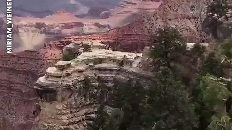 Grand Canyon onlookers scream as woman fell to her death