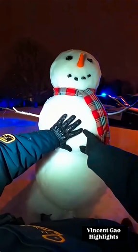 2.8K views | They said build a snowman… not a vault The videos are made using AI for your entertainment | Vincent Gao Highlights | Facebook