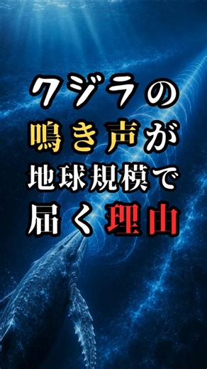 なぜクジラの鳴き声は数千km先まで届くのか？