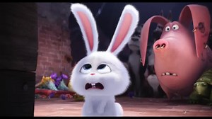 1M views · 2.1K shares | Discover the UK's No.1 film #TheSecretLifeOfPets. In cinemas now. www.PetsTickets.co.uk | The Secret Life Of Pets | Facebook