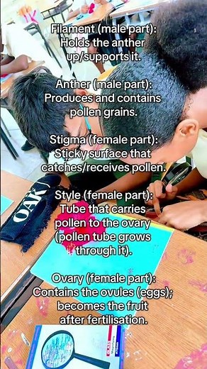 Parts of a Flower and Their Functions; Lesson by feat 1K #IntegratedScience #Education #Caribbean