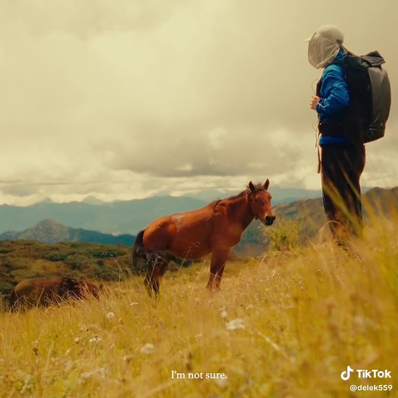 Best Features of the Peak Design 45L Outdoor Backpack