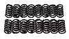 Edelbrock 5824: Sure Seat Replacement Valve Springs for Edelbrock Aluminum Heads - JEGS