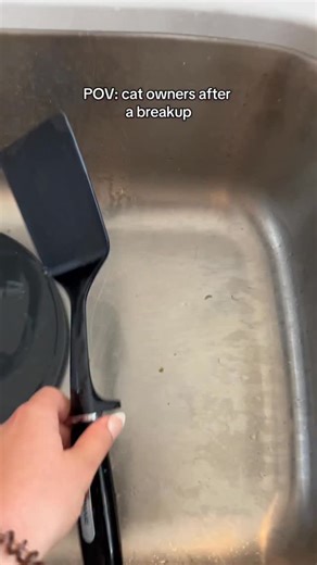 403K views · 10K reactions | “He’s the only one I can count on” #cat #cats #catsofinstagram #catlover #funnycat #catowner #catlovers #pets #dating | Jared Braden | Facebook