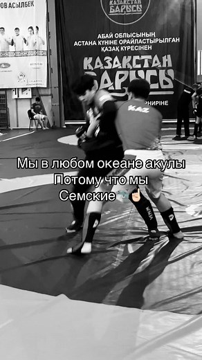 Judo Sparring Session: Techniques and Competition Highlights