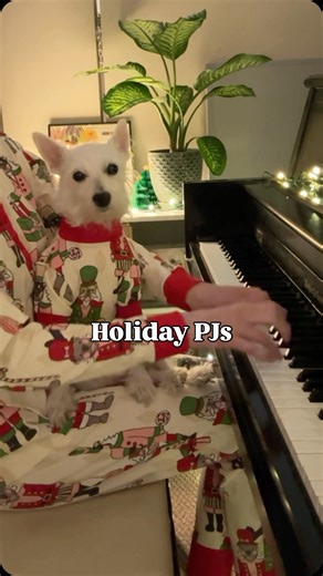 Kara Mehrmann on Instagram: "Day 12 of A Very Bradford Holiday 💫 A little Nutcracker magic for your Friday. Bradford and I are cozy in our matching Nutcracker PJs today and @darrenandphillip are running a 24-hour sale on their Christmas collection. If you’re still looking for matching holiday PJs, you can use my code BRADFORD at checkout! 🤍 . . . #nutcracker #matchingpjs #dogsofinstagram #pianocover #tistheseason #happyholidays"