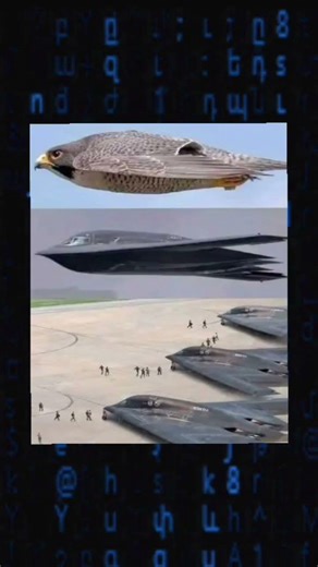 2023 Programming memes, only humor #jokes #fy #fyp #soft #software #code #it #technology #git