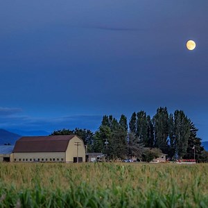 Must Visit Breweries In Bellingham | Oostema Farmstead