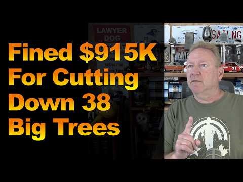 Fined $915K For Cutting Down 38 Big Trees