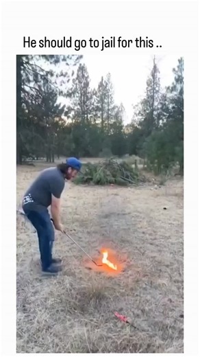 Inflyta.22 on Instagram: "The post shares a 19-second video of a man in dry brushland swinging a golf club attached to a flaming device, igniting grass that rapidly spreads into a 20+ foot fire front threatening nearby pines, with audio exclaiming excitement amid the danger. This footage, originating around December 2024, has recirculated virally since, often misrepresented as tied to current wildfires like those in California, despite fact-checks confirming no link to specific 2026 incidents. A