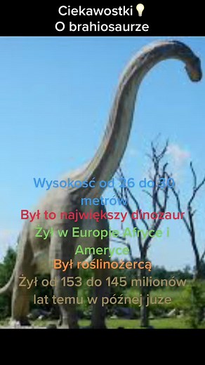 Ciekawostka o brahiosaurze