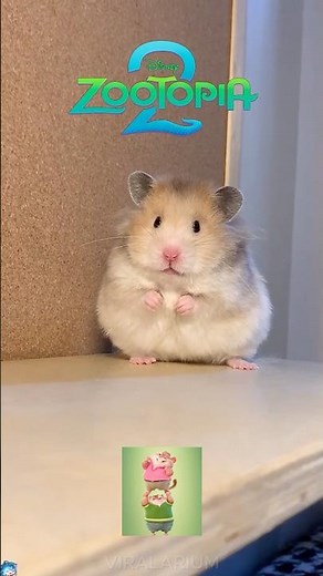 Animals in Zootopia #zootopia2 #disney #zootopia #Shakira #Zootropolis