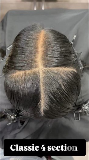 Types of Hair Sectioning Explained | Basic to Advanced Guide ✂️