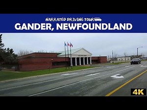 🚗Gander, Newfoundland & Labrador 🌲4K Drive