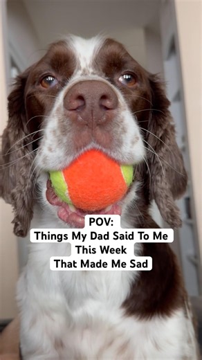 POV: Things My Dad Said To Me This Week That Made Me Sad