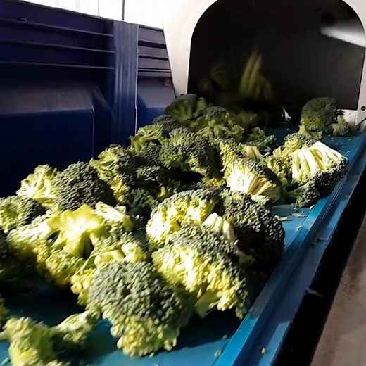 Chop, chop. 🔪 This machine cuts vegetables into smaller chunks. https://chdr.tv/5eddd | Cheddar Gadgets