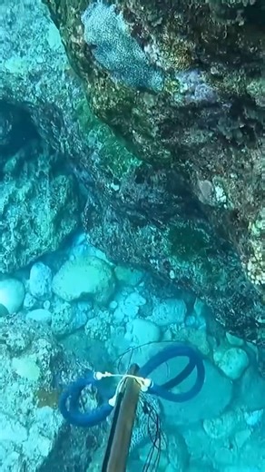 7.5K views · 65 reactions | OMGmy money #funny #fpy #foryou #fishing 1 | VIRAL F2 | Facebook