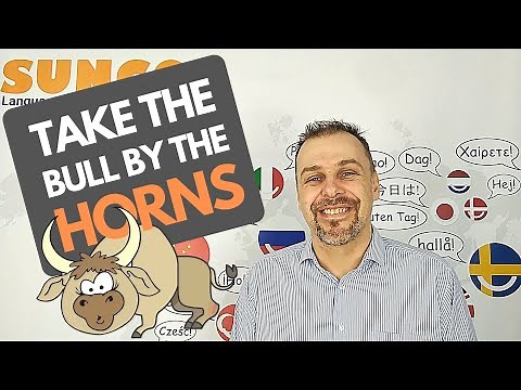 idioms 101 - take the bull by the horns