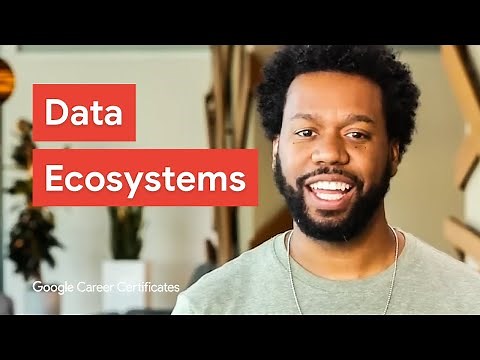 What is the Data Ecosystem & How Does It Work? | Google Data Analytics Certificate