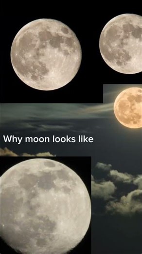 #my little pony luna ( idk what yo make?🤨)