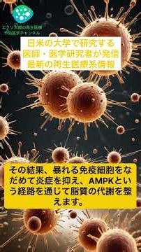 脂肪肝に“多方面”から挑む幹細胞エクソソーム #エクソソーム #research #論文紹介 #再生医療 #サイエンス #細胞外小胞 #ドラッグデリバリー #幹細胞