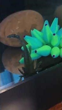 🚨 I JUST WALKED IN THE ROOM AND GOT INTERROGATED‼️ 🦎👀😂