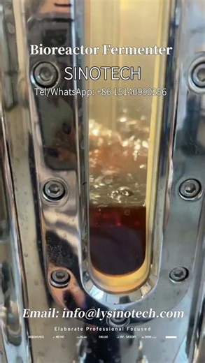 CE GMP standard bio pharmaceutical bioreactor fermenter system#bioreactor#fermenter