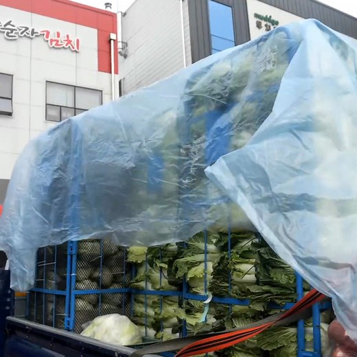 21K views · 308 reactions | Inside the Amazingly Clean Korean Kimchi Factory | Food Processing | Facebook
