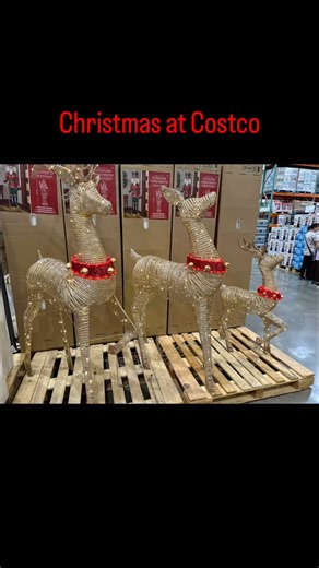 1.4K views | Always love the classic deer for Christmas decor! | Costco Insider | Facebook