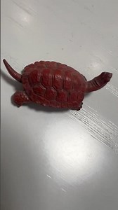 tortoise and turtle #Kame no Yakata @Kurashiki