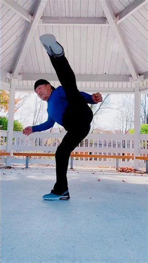 Taekwondo Lesson Speed Kicking 3 Combo’s for Aggressive Fighting Drill #8 Part 61. #taekwondolife