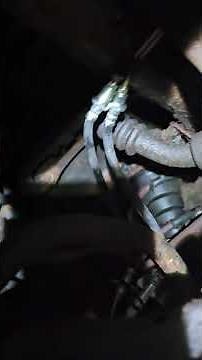 4runner rear brake lines